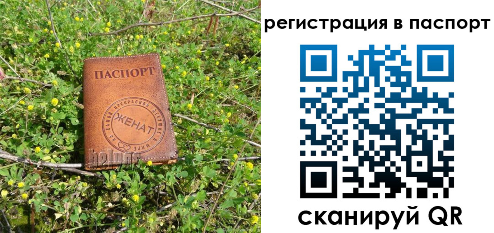 прописка законно в Лодейном Поле